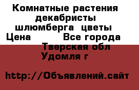 Комнатные растения, декабристы (шлюмберга) цветы › Цена ­ 300 - Все города  »    . Тверская обл.,Удомля г.